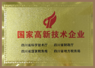 成都软件开发公司